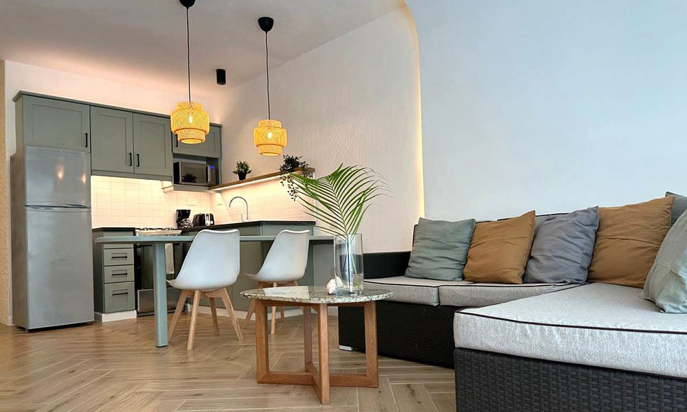 Superior 1-Bedroom Apartment - living area