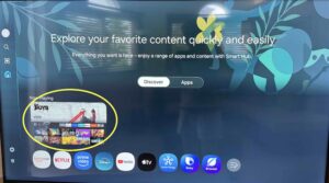 buscar decodificador "Amazon firestick"
